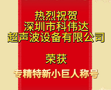 茄子视频黄色一级片：荣获深圳市第五批专精特新“小巨人”企业荣誉称号